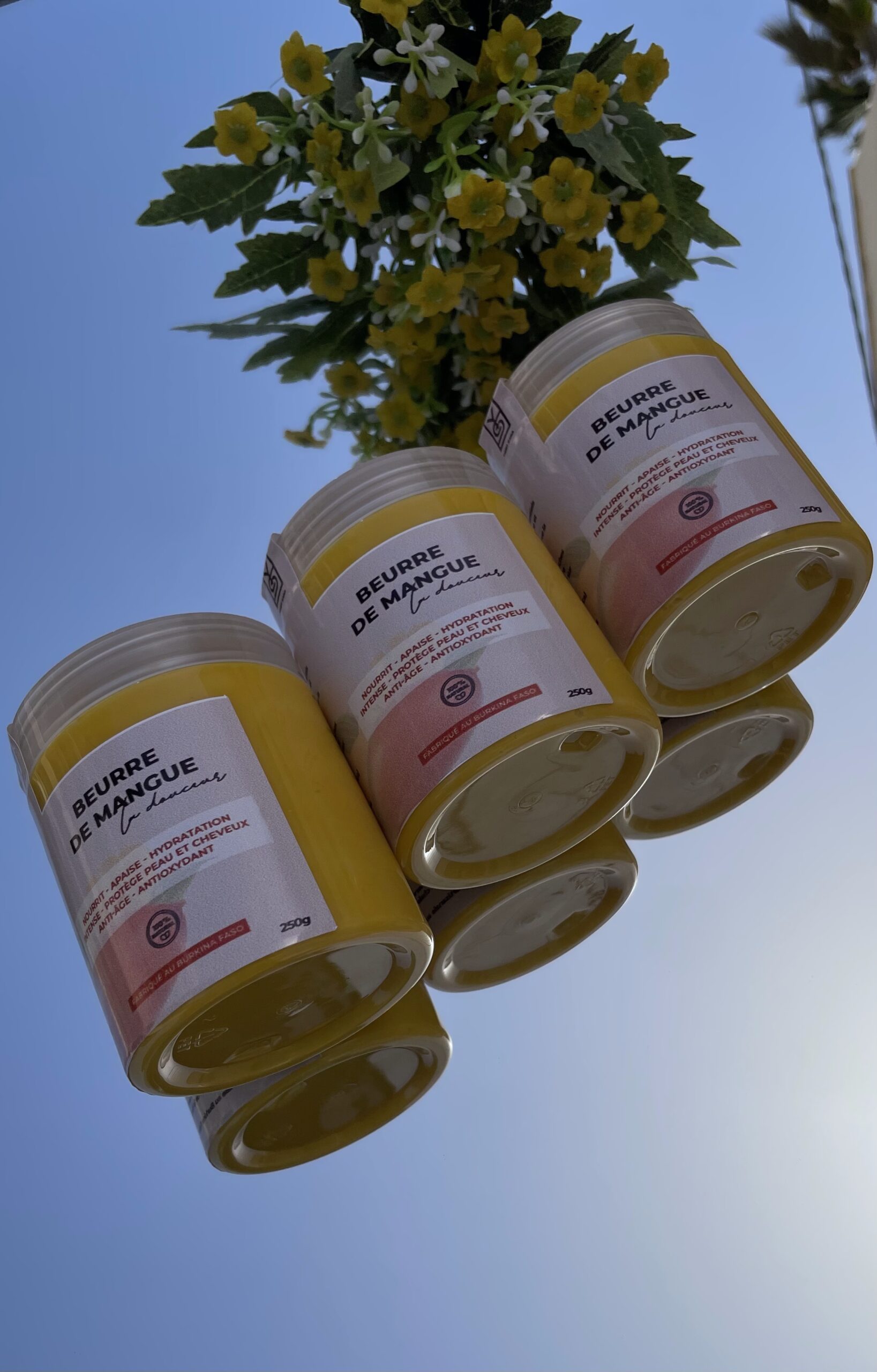 Beurre de Mangue – Image 2